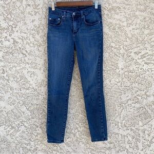 NOBODY Dark Wash Skinny Jeans